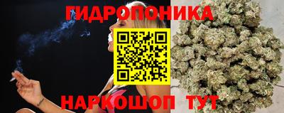 сатива Будённовск