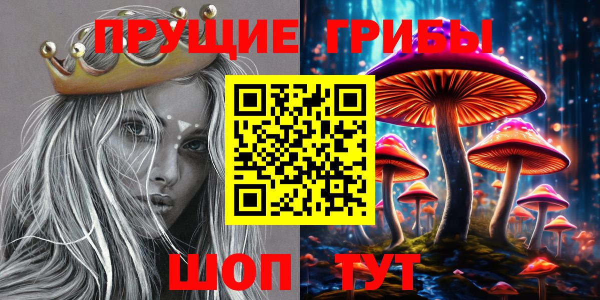 Псилоцибиновые грибы Cubensis  Вход с VPN  Сызрань 